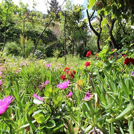 Apartament Makarska Centre & Free Private Parking Zewnętrze zdjęcie